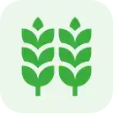 Global Food Supply Collapses